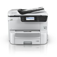 Epson 4/1 JE PROF CL WFC8690DWF A3+ 35pm