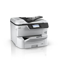 Epson 4/1 JE PROF CL WFC8690DWF A3+ 35pm