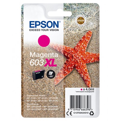 Epson C13T03A34020 Etoile/Mer XL Mag Bli