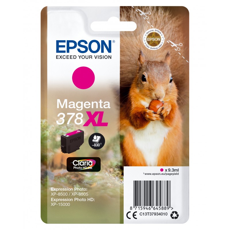 Epson C13T37934010 Mag. XL Ecureuil