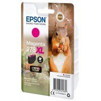 Epson C13T37934010 Mag. XL Ecureuil