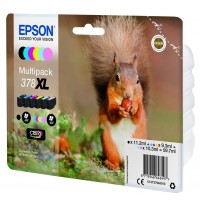 Epson C13T37984010 Pack XL x 6 Ecureuil