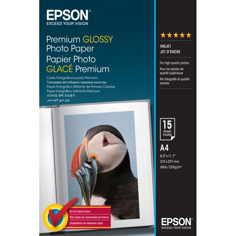 Epson C13S042155 Pap Ph A4 Glacé 255g