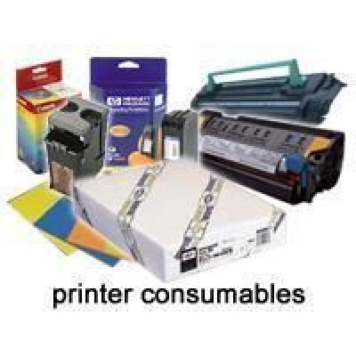 Epson C13S041619 Pap Adhe. synth. 135g